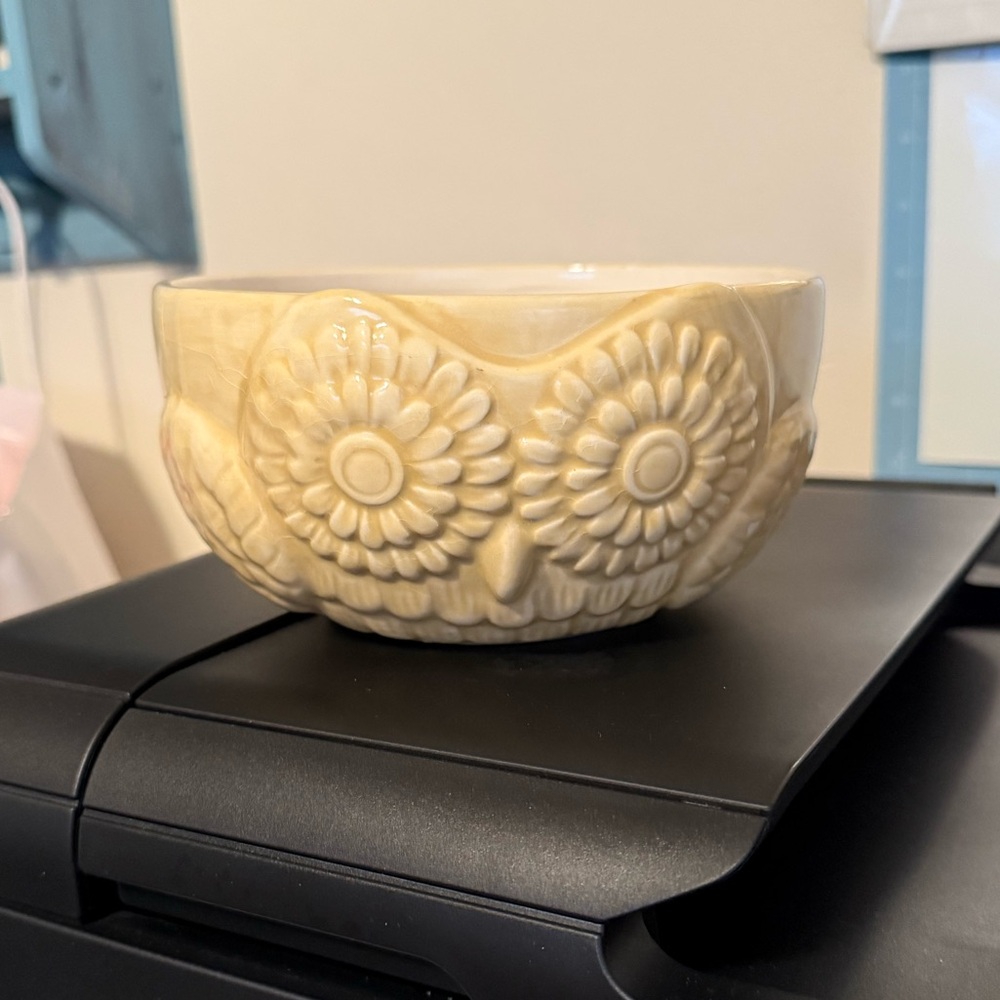 Owl Dish